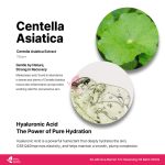 B.LAB Cica Barrier 5.5 Cleansing Oil Balm 100ml - Image 4