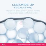 SKIN1004 Madagascar Centella Hyalu-Cica Sleeping Pack 100ml - Image 4