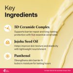 Torriden SOLID-IN Ceramide Cream 70ml - Image 4