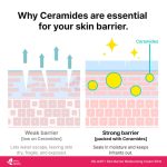 DR.JART+ Ceramidin Skin Barrier Moisturizing Cream 50ml - Image 6