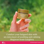 I’M FROM Mugwort Cream 50ml - Image 6