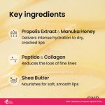 CNP Laboratory Propolis Lipcerin 15ml (Original) - Image 5