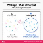 WELLAGE Real Hyaluronic Blue Ampoule 60ml - Image 6