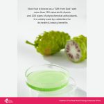 Celimax The Real Noni Energy Ampoule 30ml - Image 8